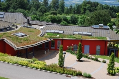 Firmengebäude in Leichtdachkonstruktion mit extensiver Dachbegrünung