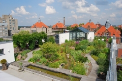 Dachgarten der Wiegmann Klinik in Berlin