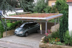 Carport mit extensiver Dachbegrünung