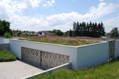 Begrünte Garage