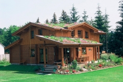 Wohnhaus mit extensiver Dachbegrünung