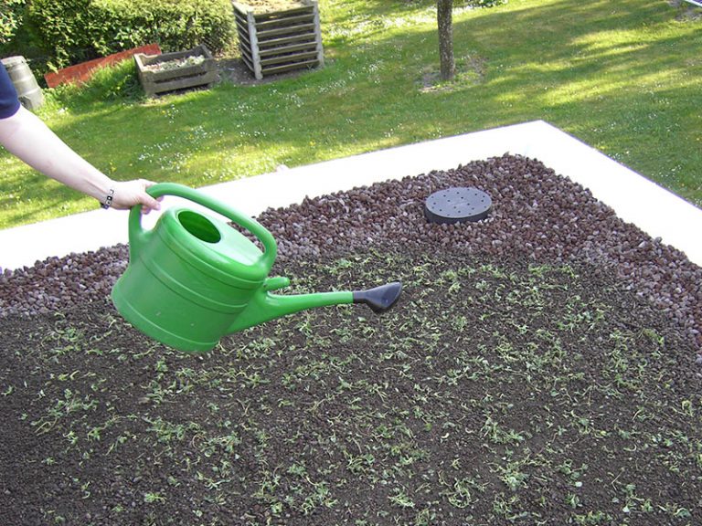 Einbauanleitung Carport & Garage DachbegrünungRatgeber